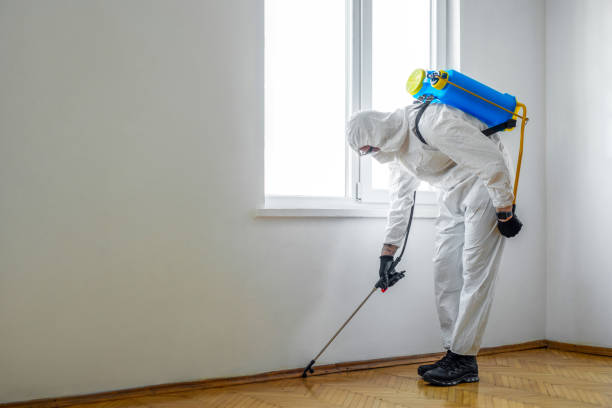 Best Pest Prevention Services  in Antwerp, OH